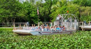 Airboat full of tourists leaves for the tour in the Everlades National Park