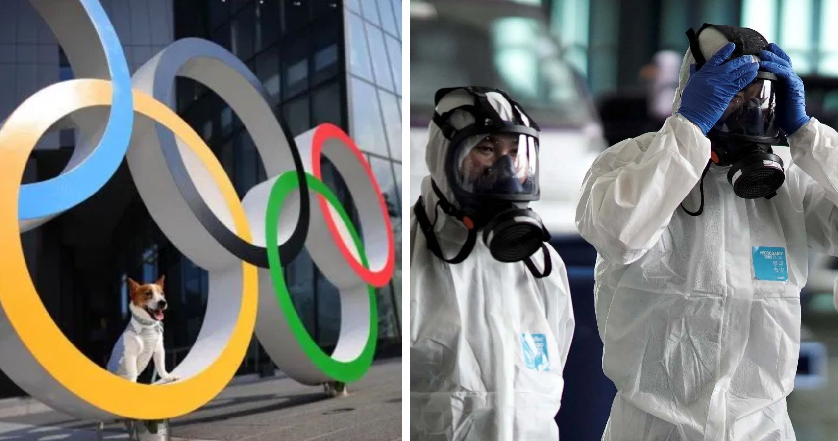 Cão em anéis olímpicos e trabalhadores em quarentena em trajes de proteção na China