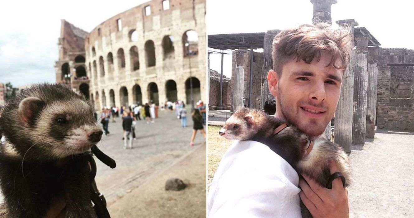 Bandit, o furão, posando em frente ao Coliseu, em Roma, Itália/visitando pontos turísticos da Europa com seu humano, Charlie