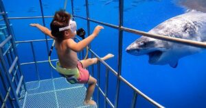 Família enfrenta reação por deixar cair duas crianças em uma gaiola de tubarão