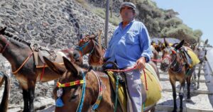 Greece Bans Overweight Tourists From Santorini Donkey Rides