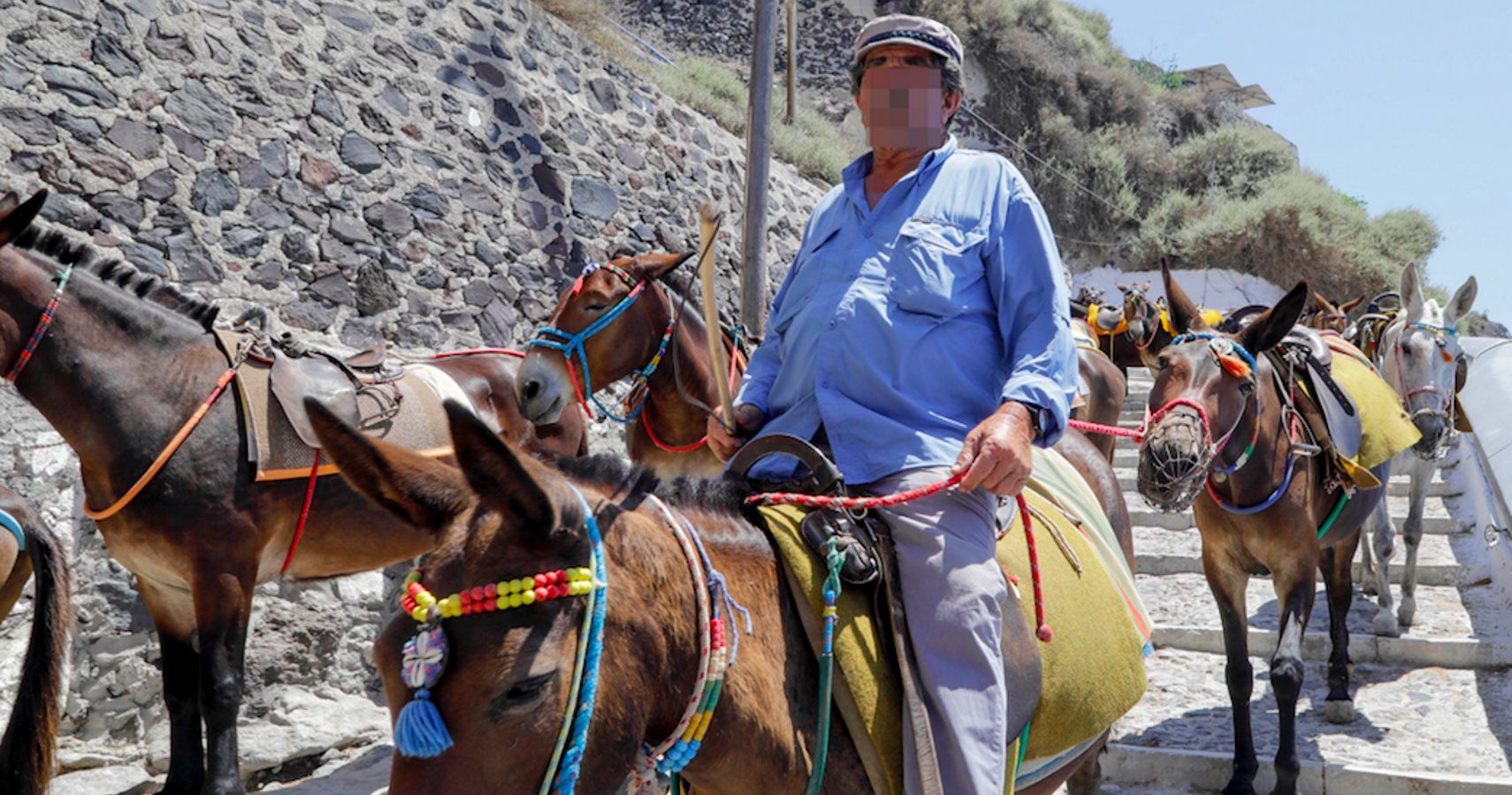Grécia proíbe turistas com excesso de peso de passeios de burro em Santorini
