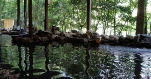 Japanese Hot Springs Resort permite que os hóspedes tomem banho com cerveja artesanal