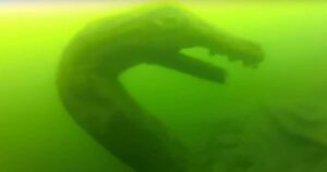Assista: Ogopogo Sea Monster quer que você venha encontrá-lo