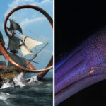 Lendas sobre o Kraken continuaram até o século 18, mas poderia realmente existir em algum lugar?