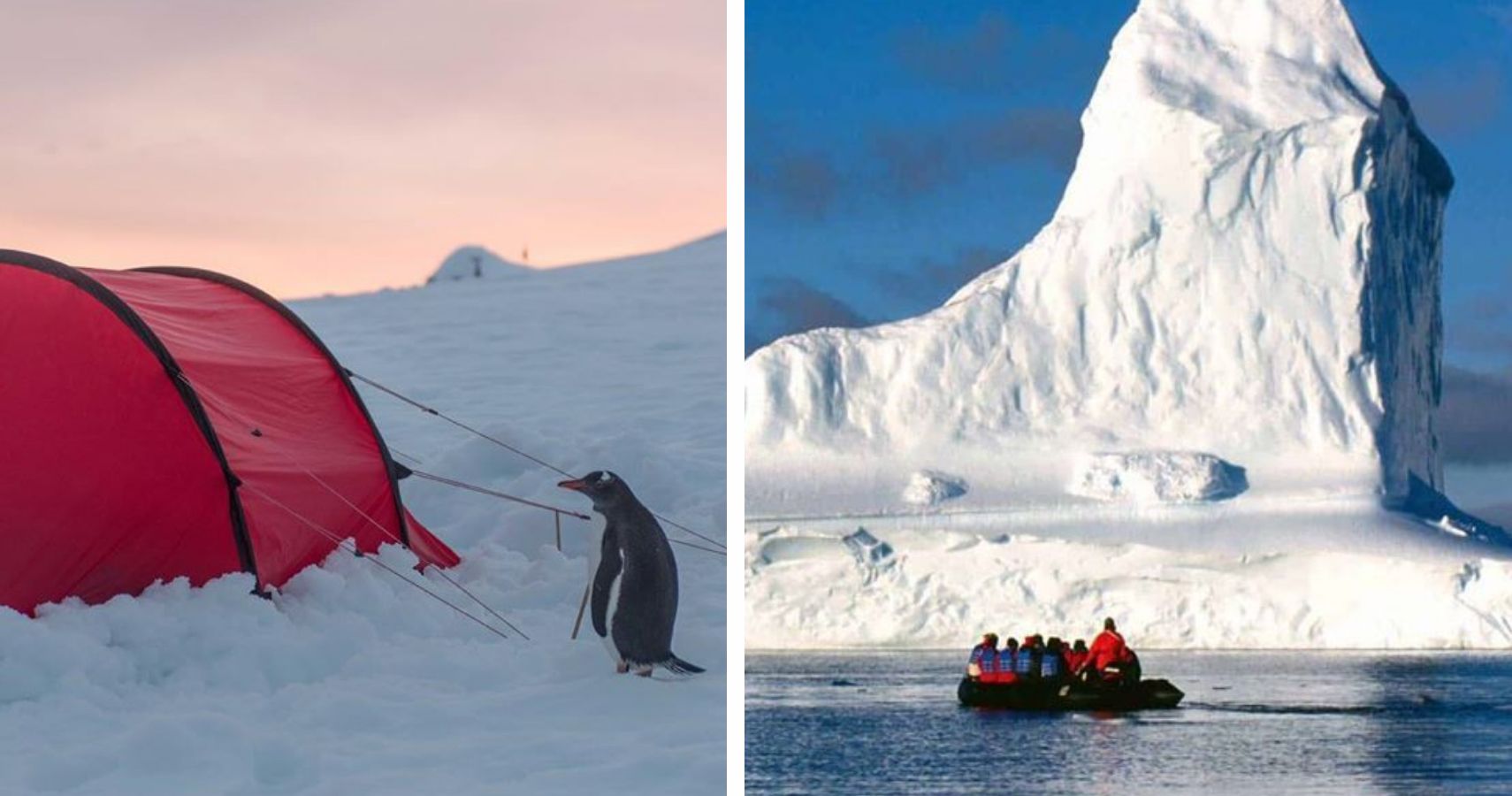 Pinguim na barraca e bote na geleira na Antártida