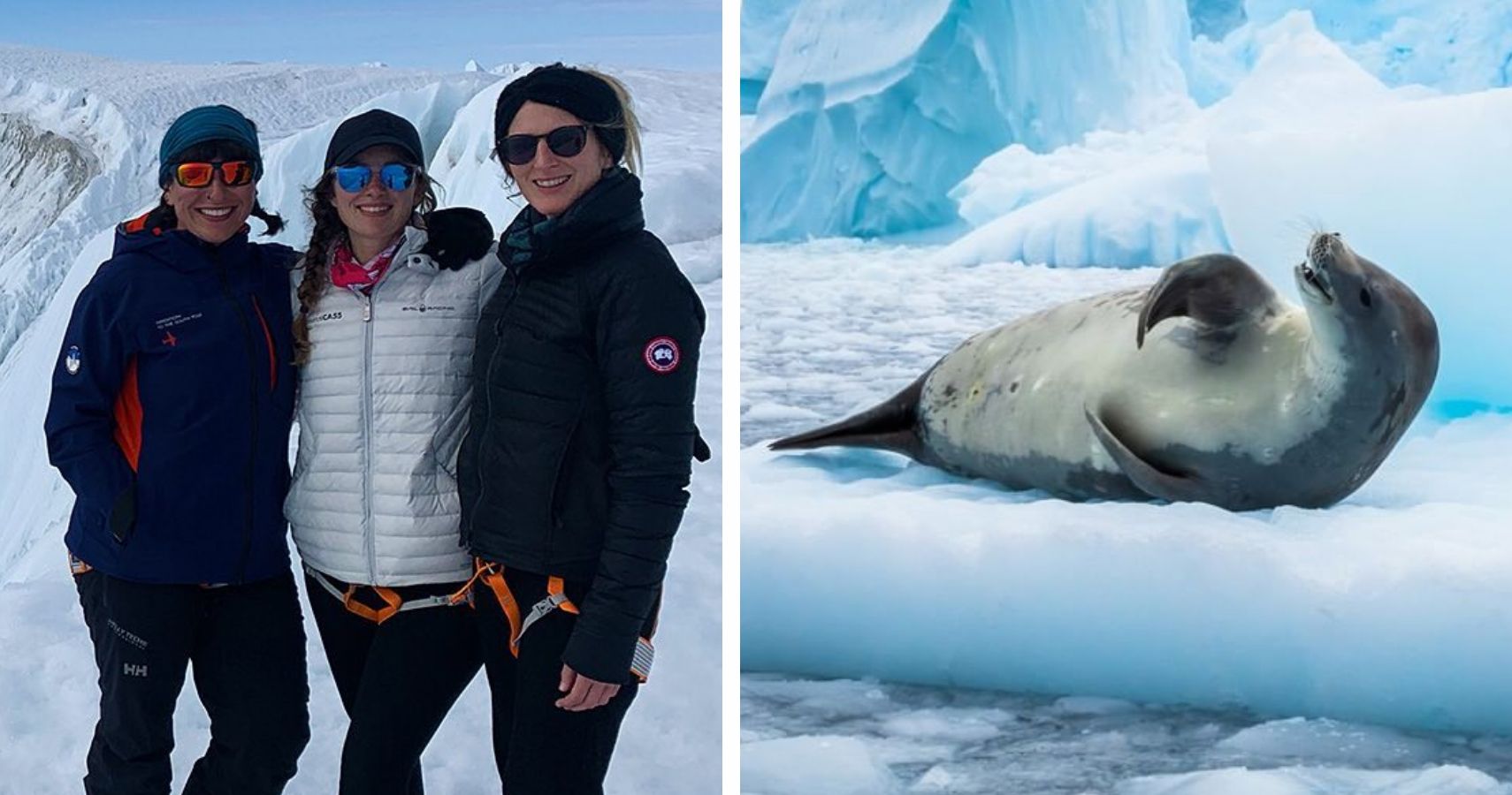 Mulheres e focas na geleira da Antártida