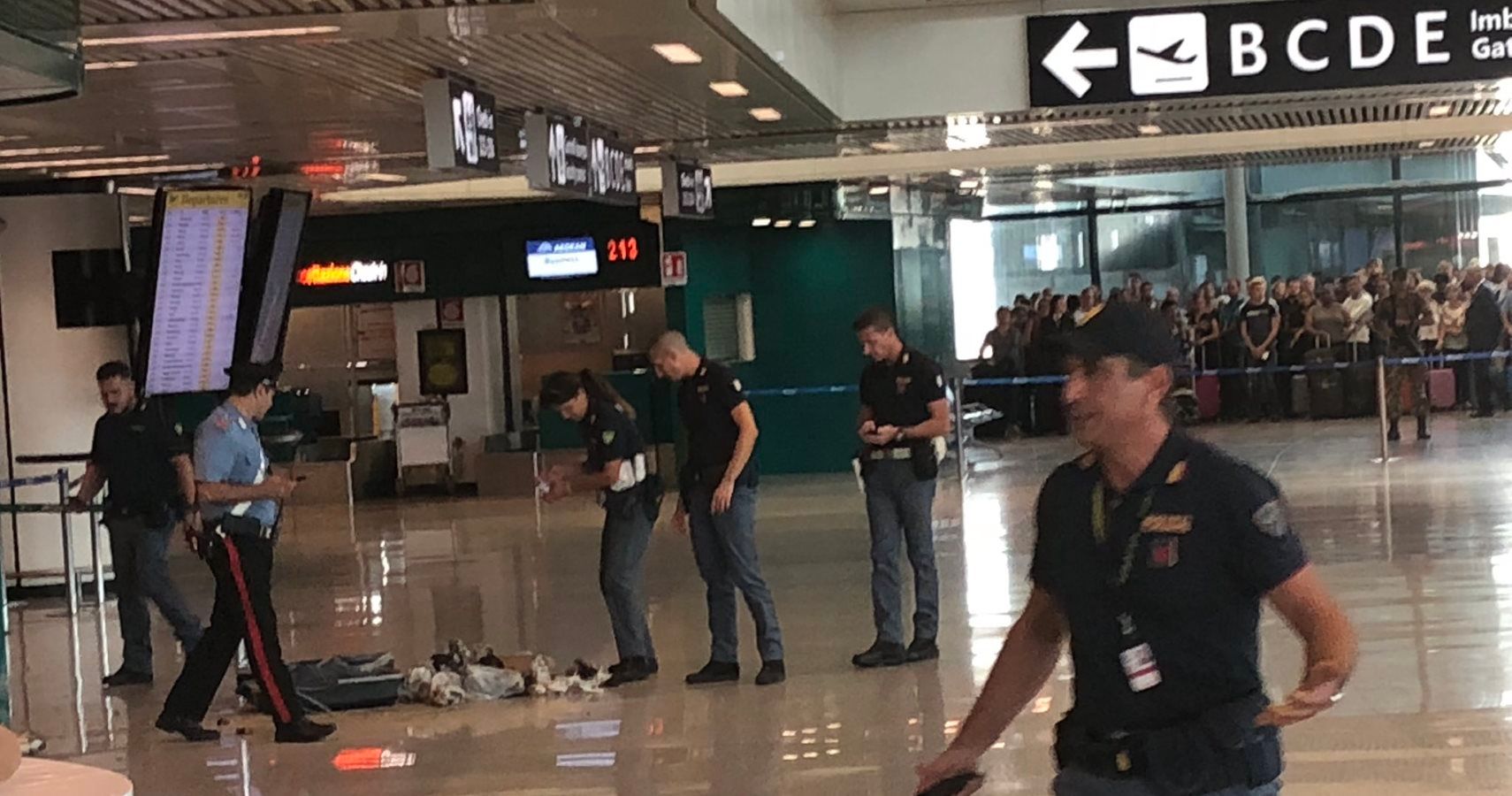 Autoridades do aeroporto de Roma explodem bolsa suspeita e acabam cheias de cocos