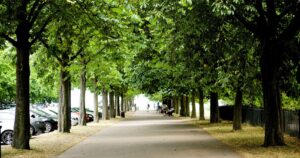Londres tem 8 milhões de árvores - e quer plantar ainda mais
