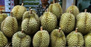 Passageiros reclamam de cheiro insuportável de frutas fedorentas e derrubam avião inteiro na Indonésia