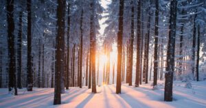 Previsão do Farmer's Almanac para o inverno 2018-19: longo e frio, não curto e ameno