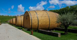 Retire-se para o seu enorme barril após um dia difícil de degustação de vinhos neste vinhedo português

